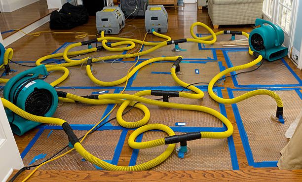 Professional Storm Water Damage Restoration technician working in Greenwich, CT